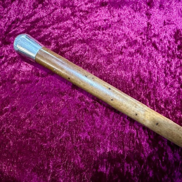 Solid Silver Topped Walking Stick 1